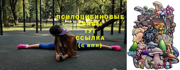 мяу мяу мука Алзамай