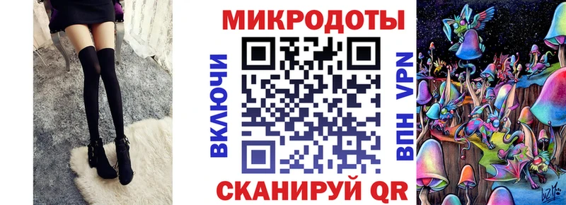 Псилоцибиновые грибы Psilocybe  Медынь 